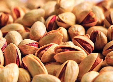 تصویر 1 از خرید پسته خندان کله قوچی + قیمت فروش استثنایی